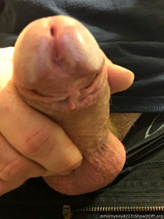 Adult image from dchornyboy4223