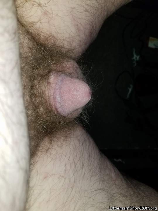 Adult image from LittleMan