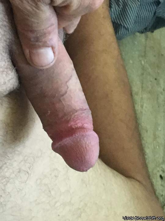 Adult image from LDick