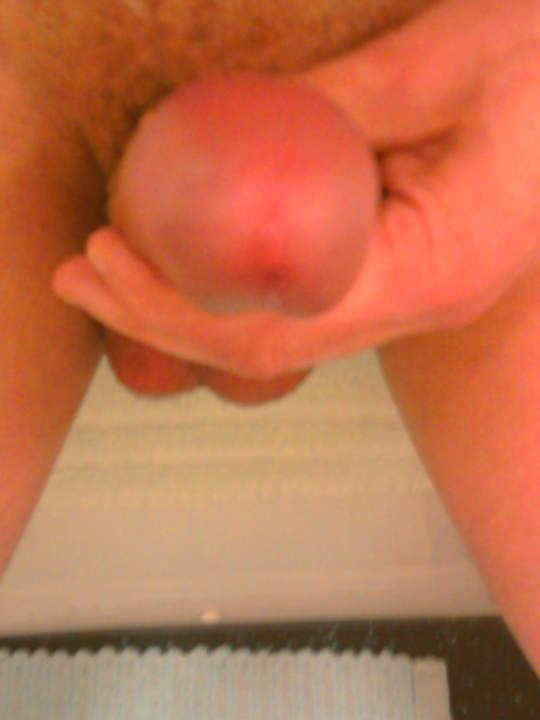 Adult image from newbie23