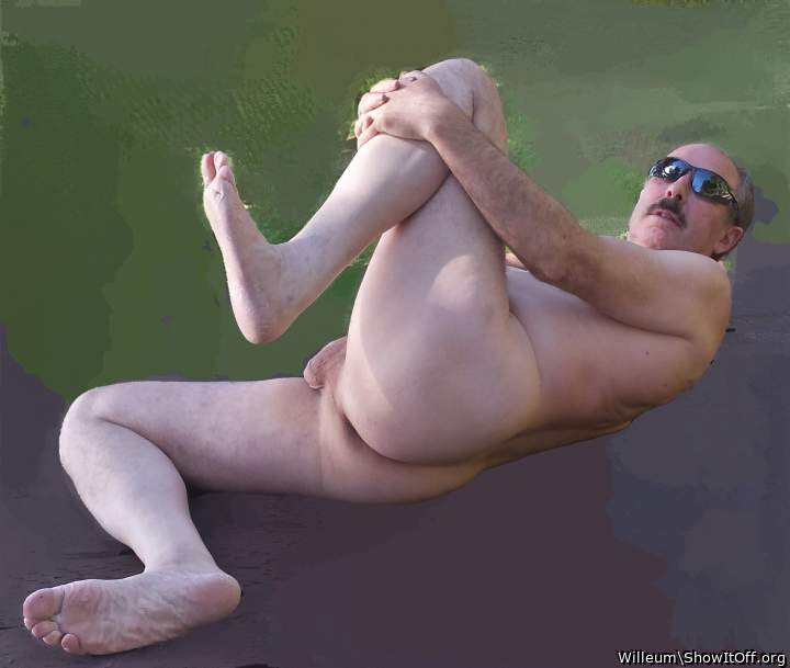 Adult image from Willeum