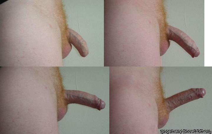 Adult image from gingerhairy