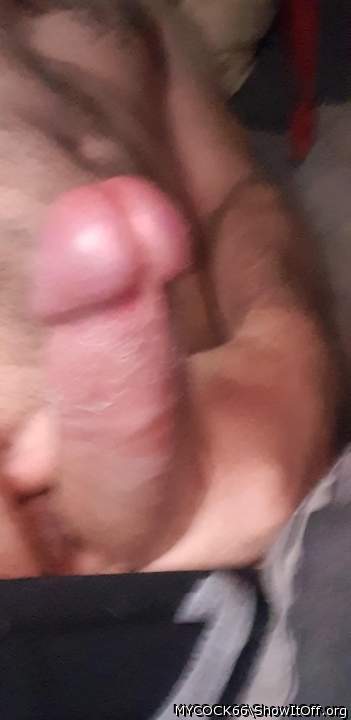 Adult image from MYCOCK66