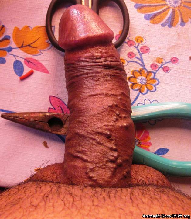 Adult image from Animesh