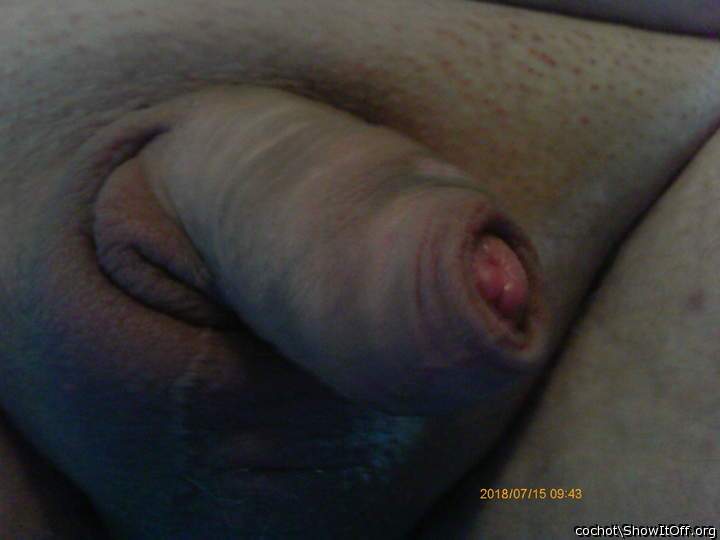 Adult image from cochot