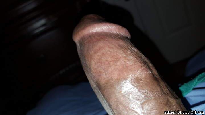 Adult image from eddier