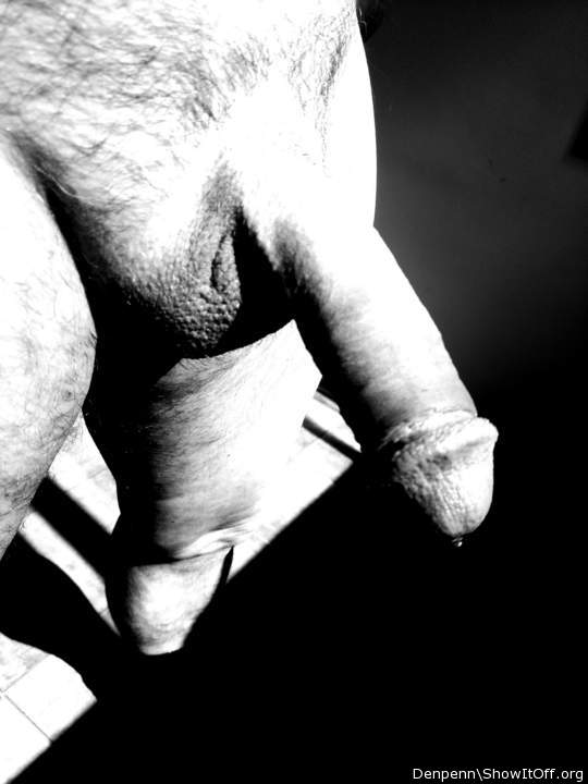 Adult image from Denpenn