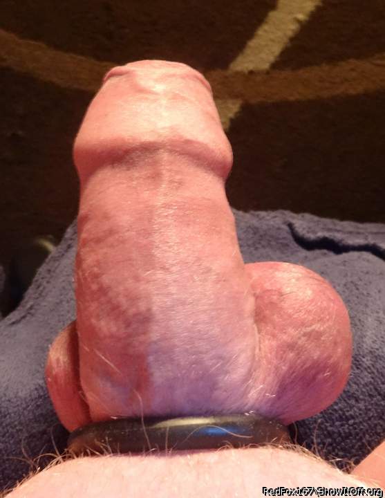 Adult image from redfox167