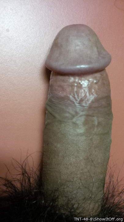 Adult image from TNT-48-8