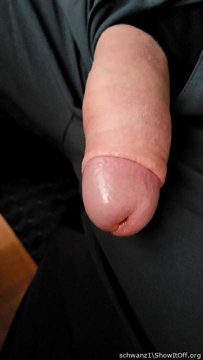 Adult image from schwanz1
