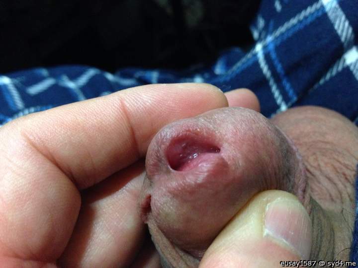 Adult image from eusay1587