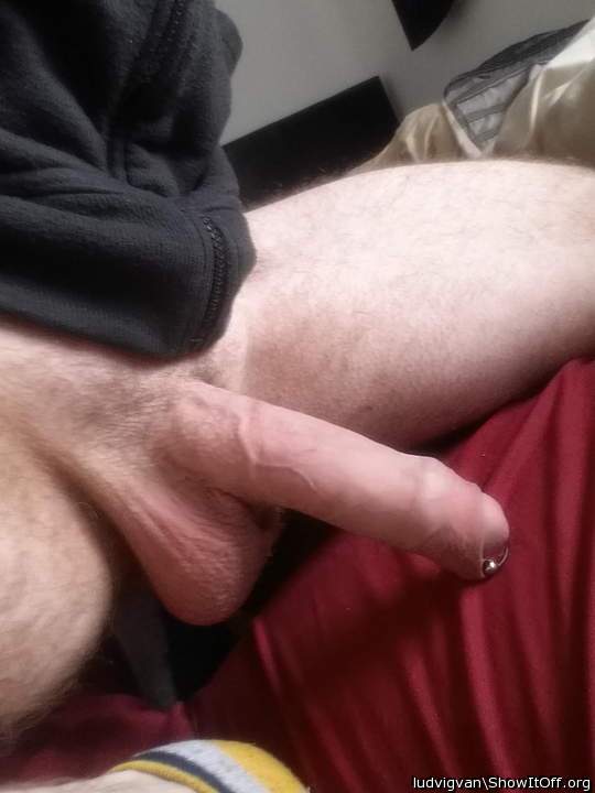 Adult image from ludvigvan