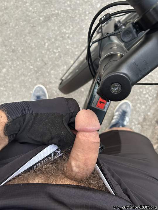 Adult image from cro_cut