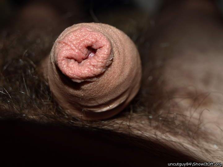 Adult image from uncutguy84