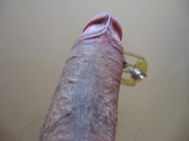 Adult image from porlokino