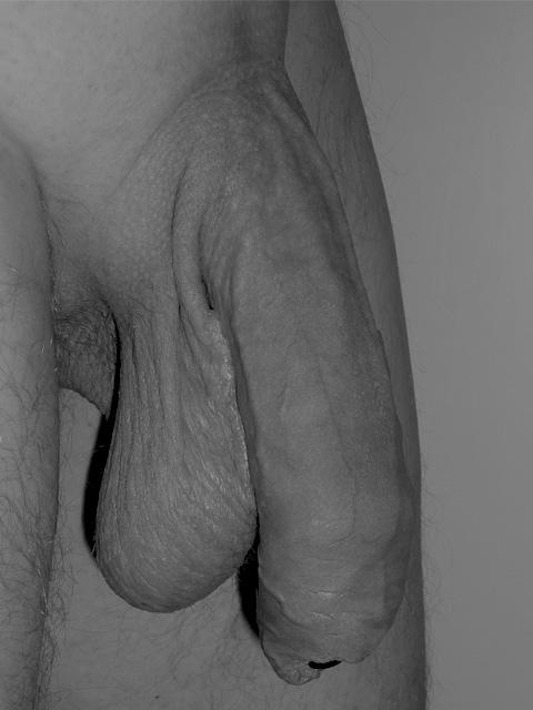 Adult image from RedShirt