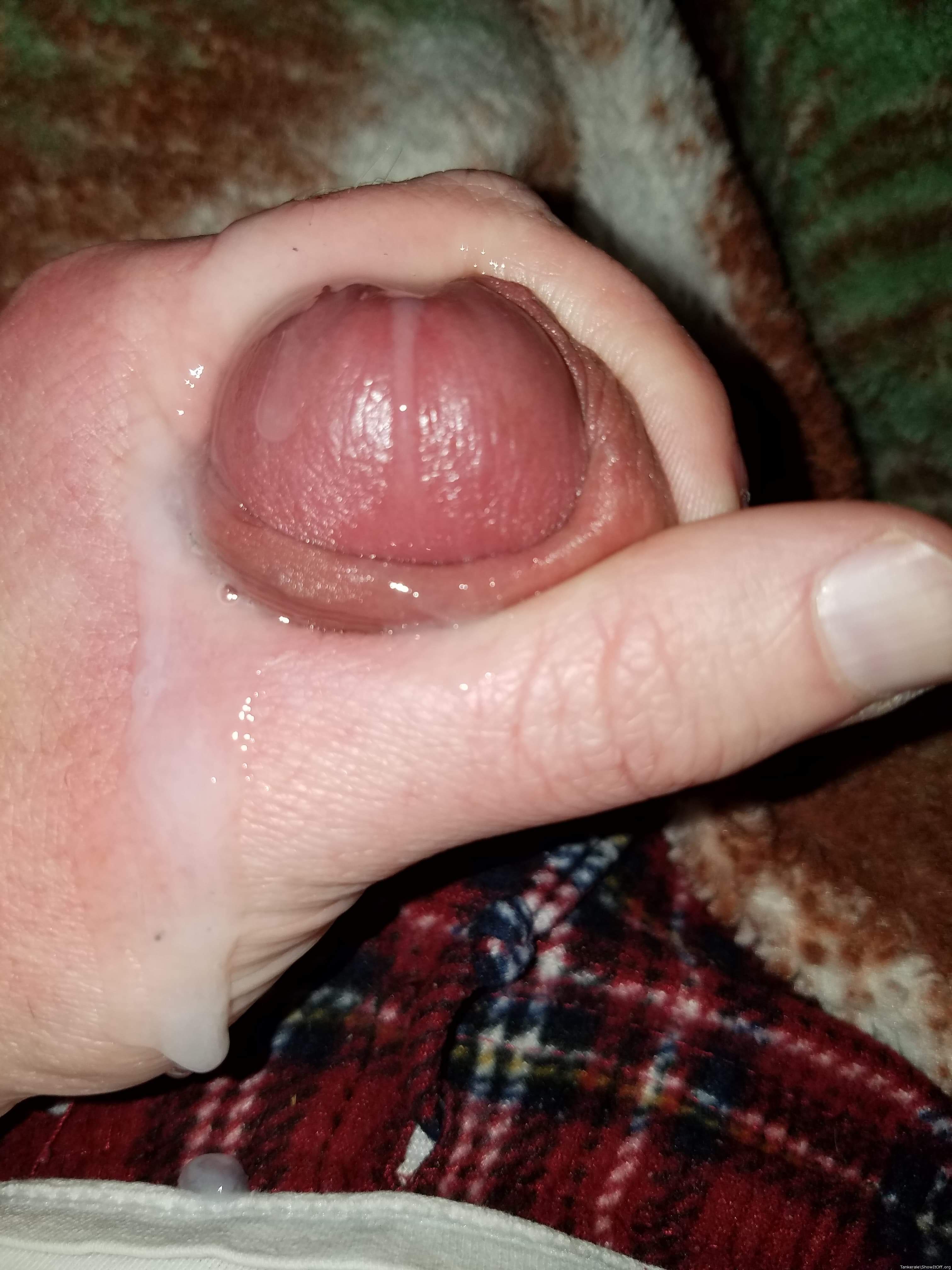 Adult image from Tankerale