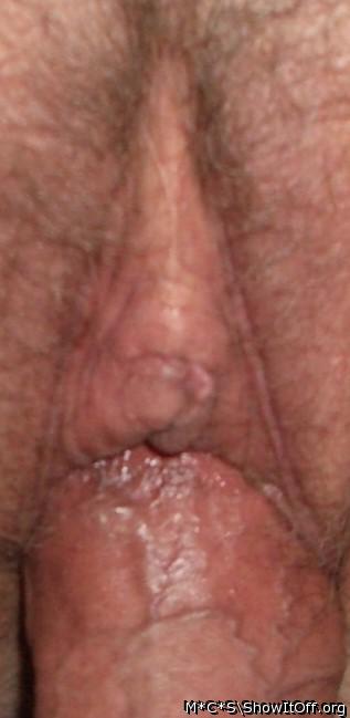 Adult image from M*C*S