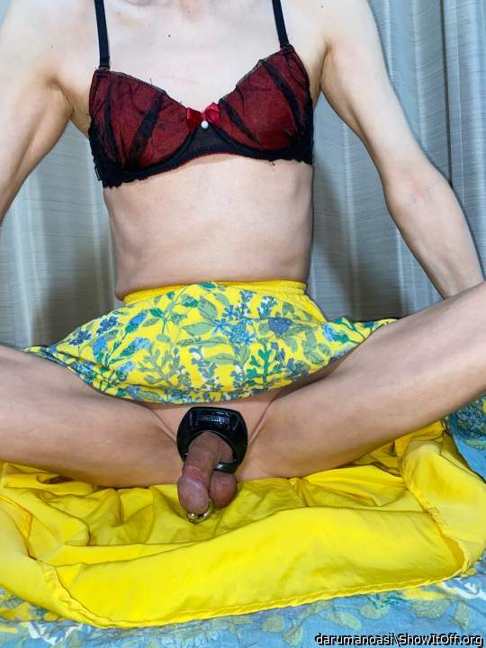 Adult image from darumanoasi