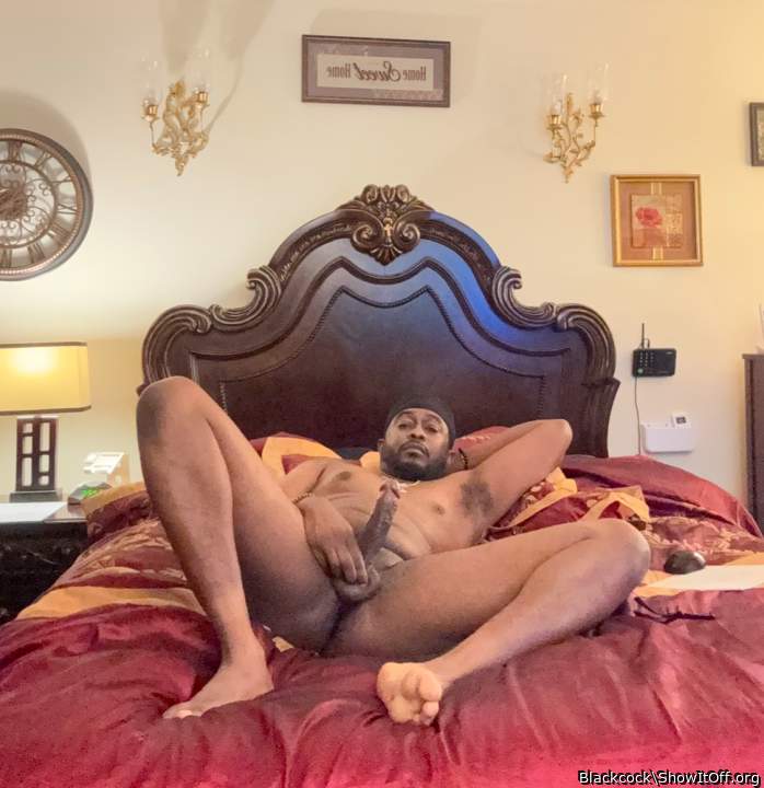 Adult image from Blackcock