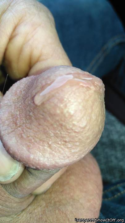 Adult image from Denpenn