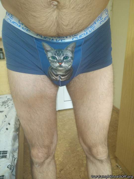 Adult image from Haralampi