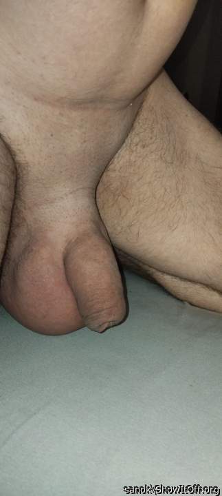 Adult image from sanok