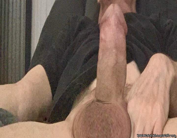 Adult image from SWMO64