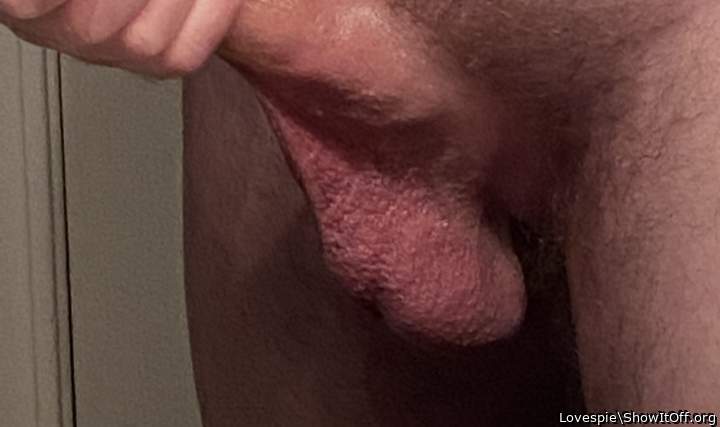 Adult image from Lovespie