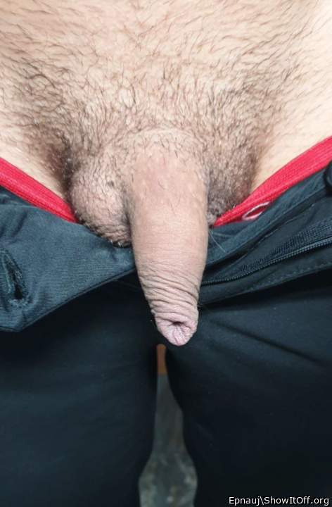 Adult image from Epnauj