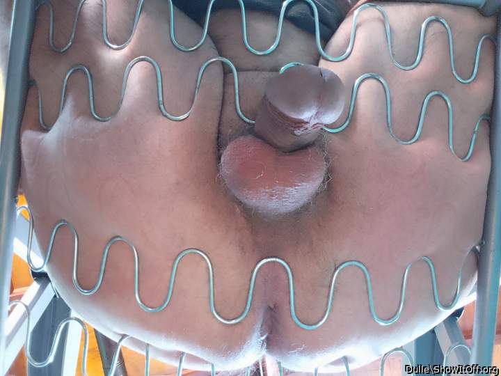 Adult image from Dulle