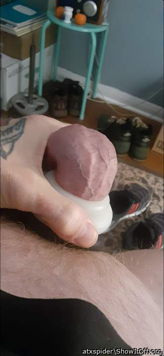 Adult image from atxspider