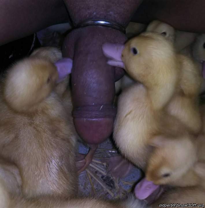 Adult image from oldper69