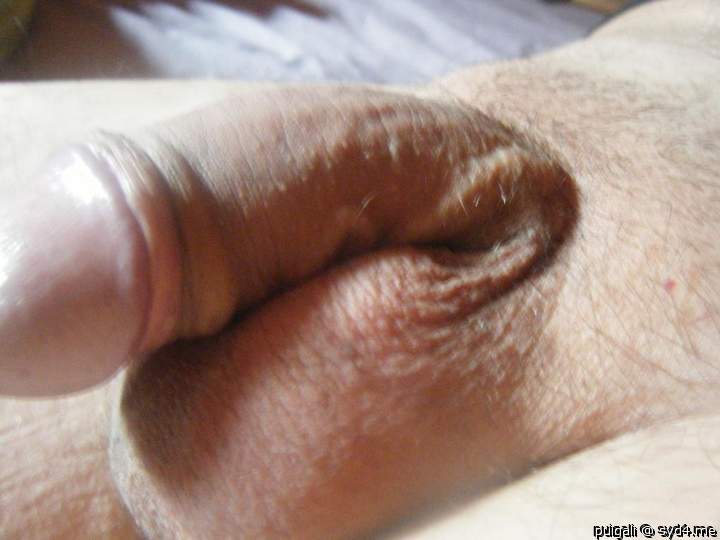 Adult image from puigali