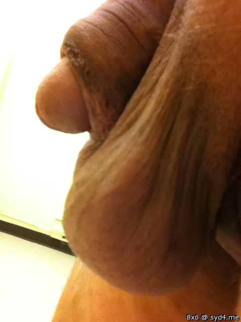 Adult image from 8x6