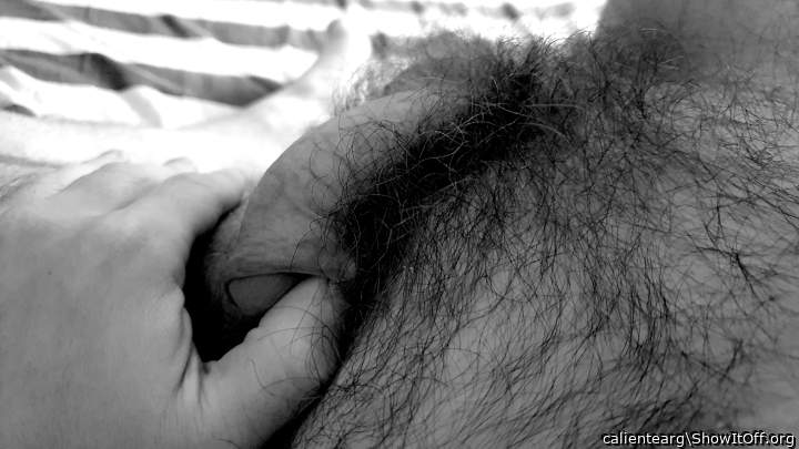 Adult image from calientearg