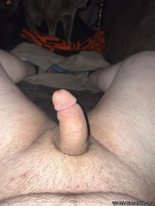 Adult image from GFMZ1