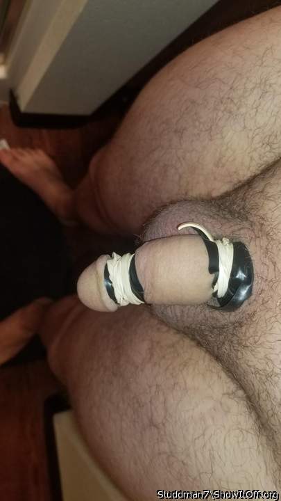 Adult image from Studdman7