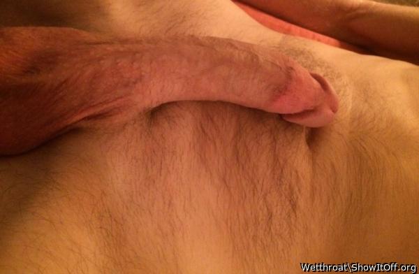 Adult image from Wetthroat