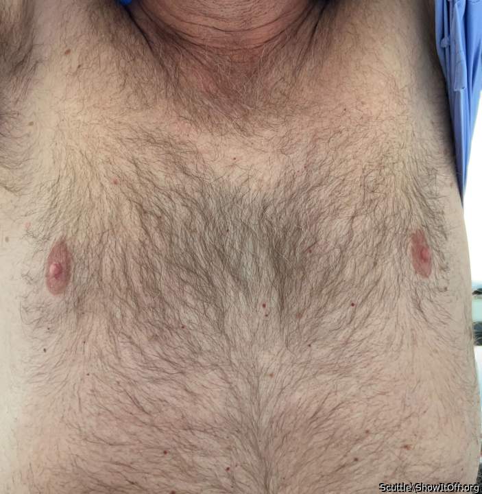 Adult image from Scuttle