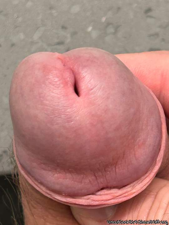 Adult image from UncutCock514