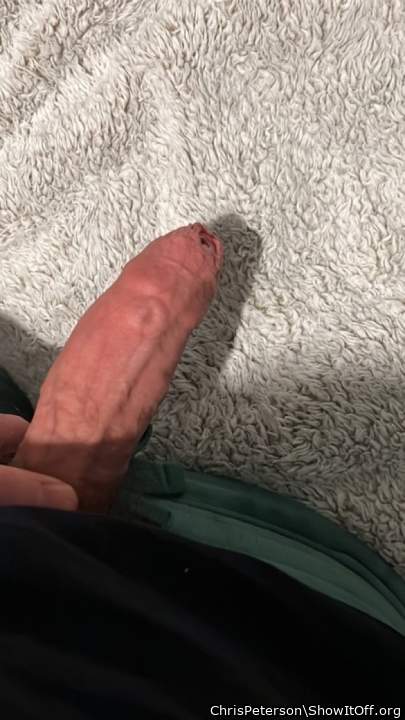 Adult image from ChrisPeterson