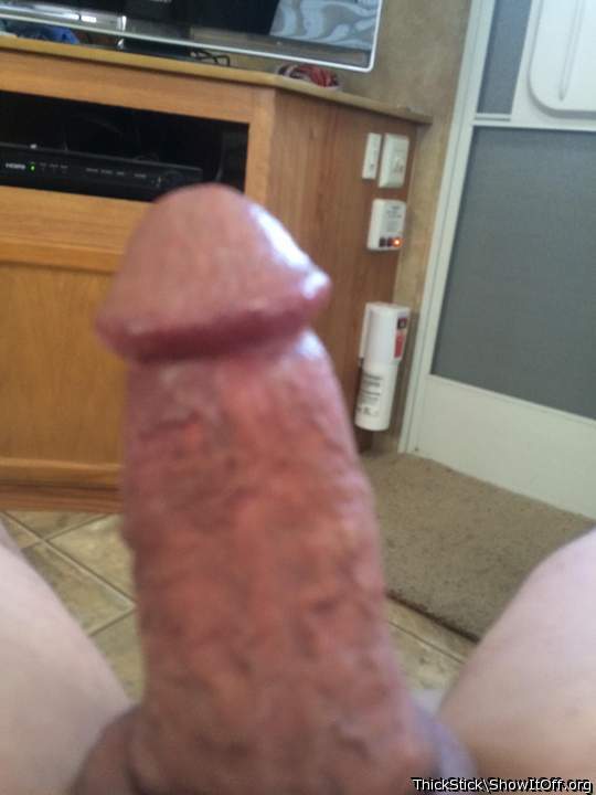 Adult image from ThickStick