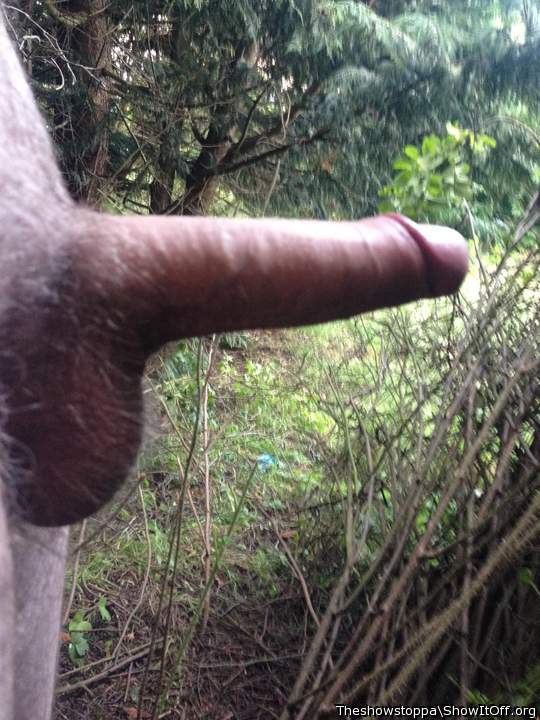 Adult image from Theshowstoppa