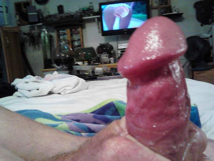 Adult image from fish4free