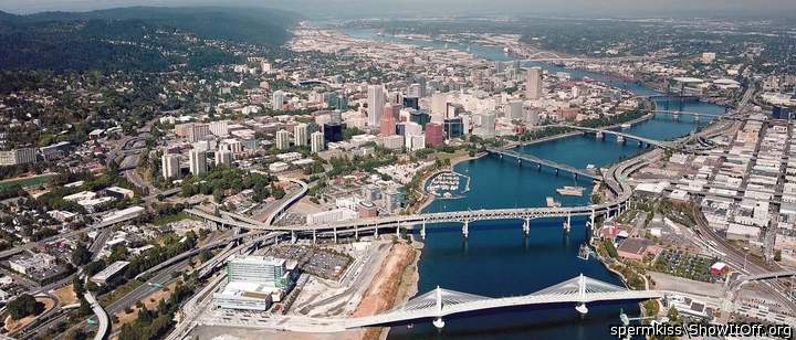 Stunning Aerial Photo of Downtown Portland and the Willamette River
