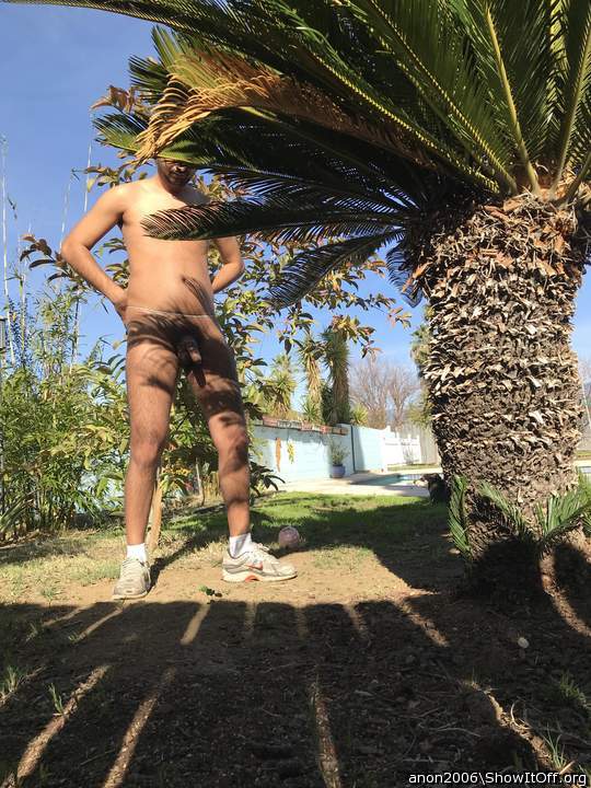 delicious would love to have a good suck on that