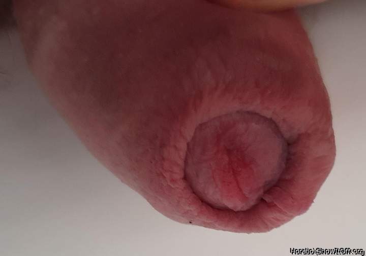 Adult image from Horatio