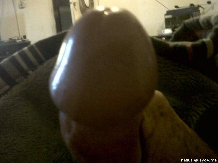 Adult image from netlus