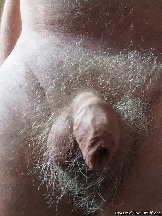 Love to feel your Bush on my face 